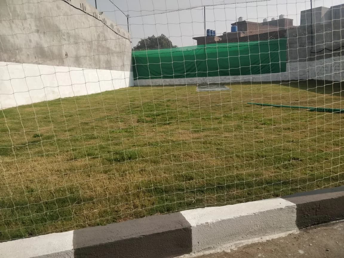 Cricket Court