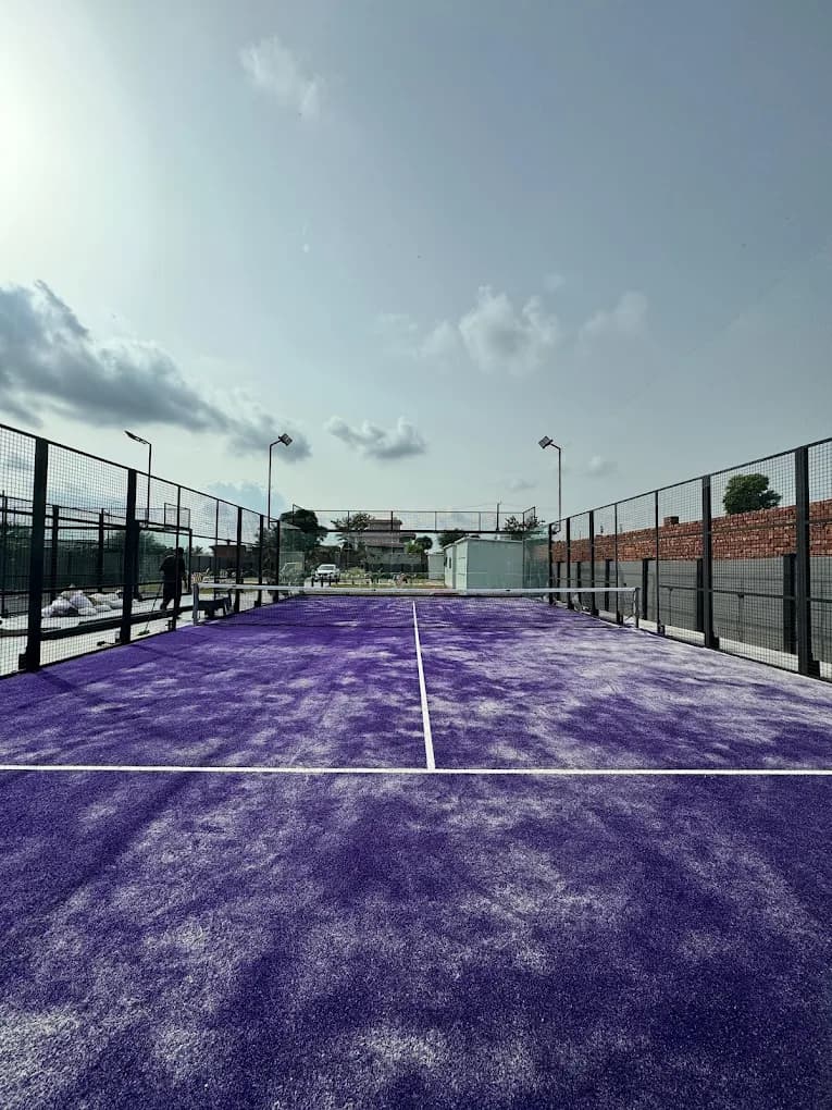 Purple Court 1
