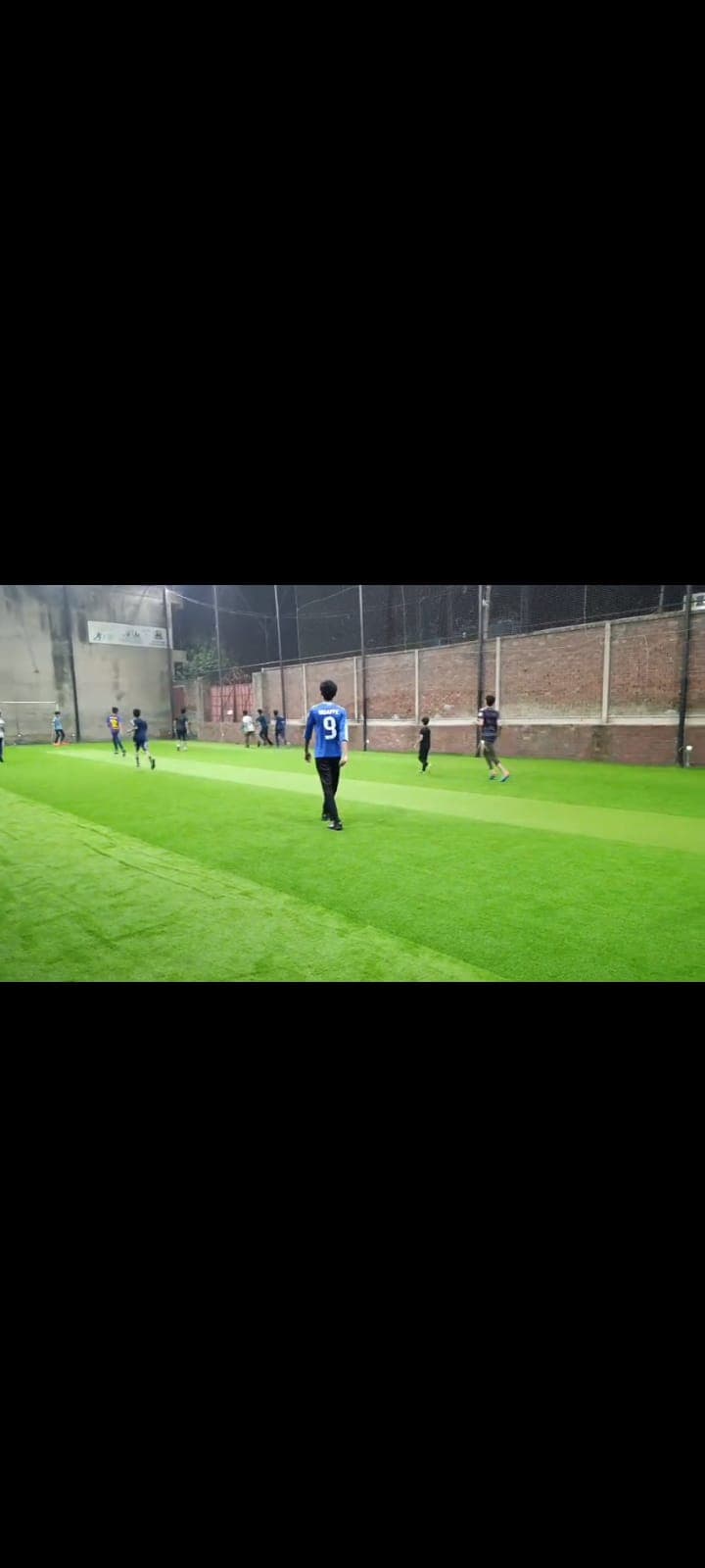 Cricket Court 2